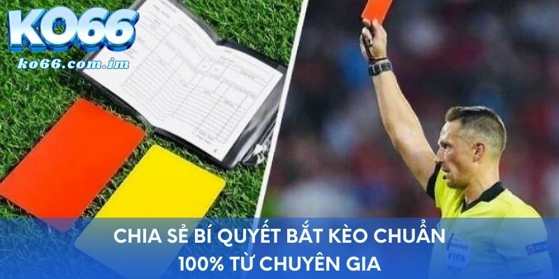 Chia sẻ bí quyết bắt kèo chuẩn 100% từ chuyên gia