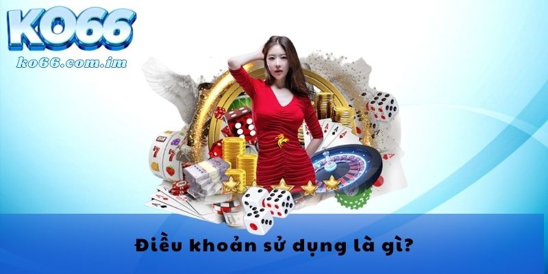 Điều khoản sử dụng là gì?