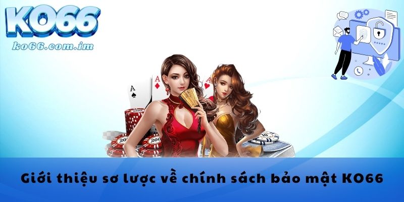 Giới thiệu sơ lược về chính sách bảo mật