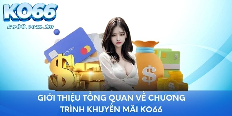 Giới thiệu tổng quan về chương trình khuyến mãi KO66