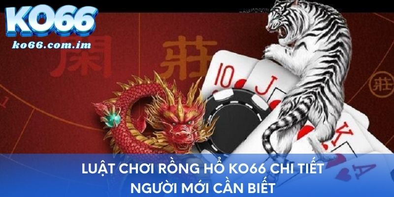 Luật chơi Rồng Hổ KO66 chi tiết người mới cần biết