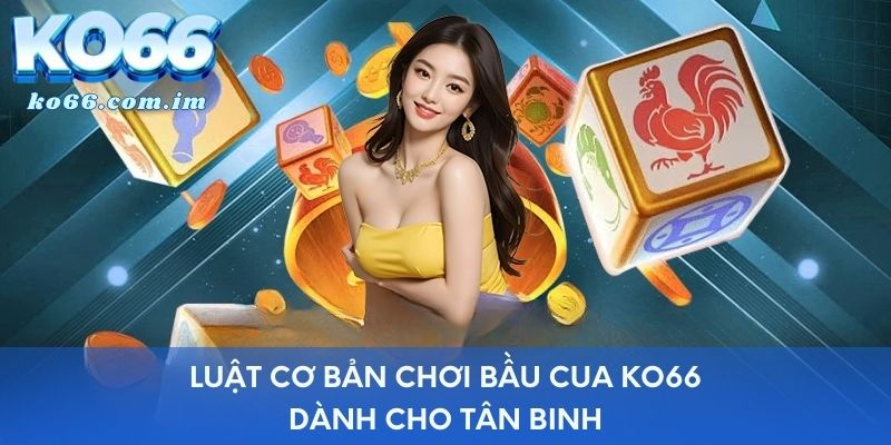 Luật cơ bản chơi bầu cua KO66 dành cho tân binh