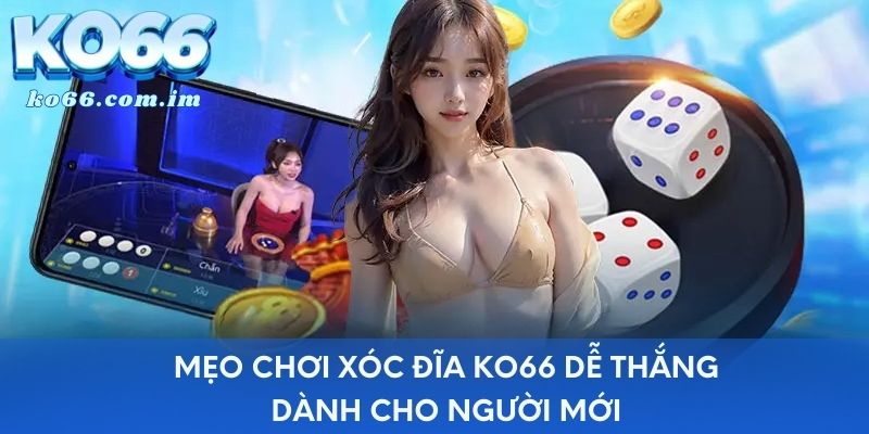 Mẹo chơi xóc đĩa KO66 dễ thắng dành cho người mới